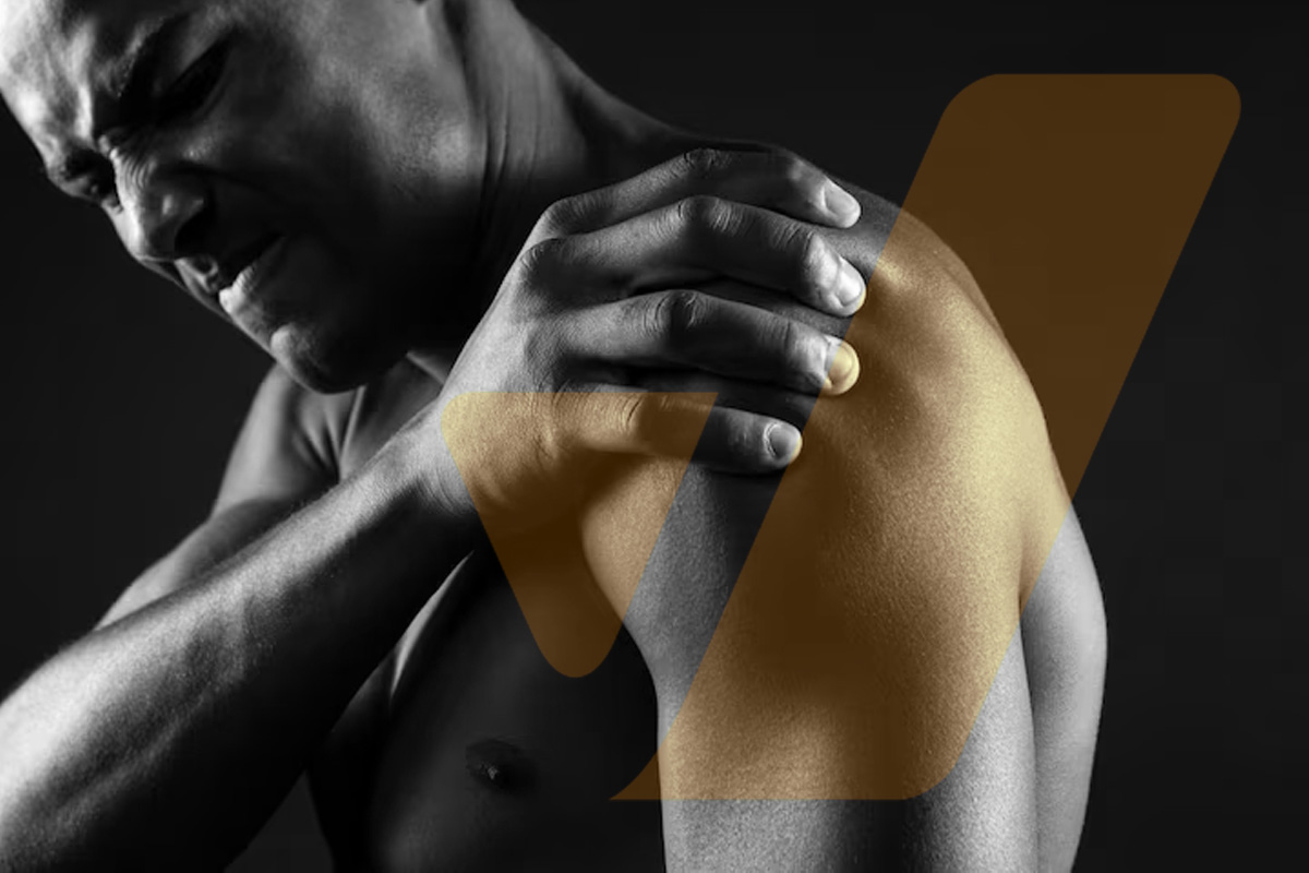 فیبر عضلانی (Muscle Fiber) چیست